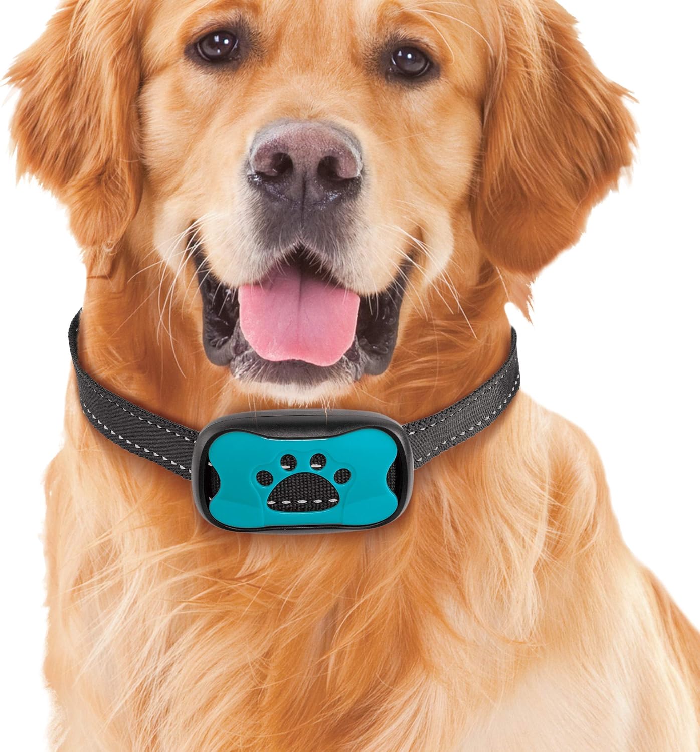 My Pet Buddy Anti Barking Collar