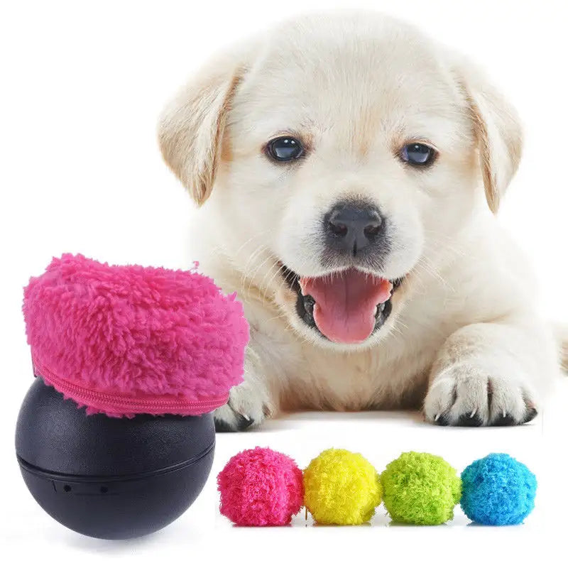 My Pet Buddy Magic Roller Ball