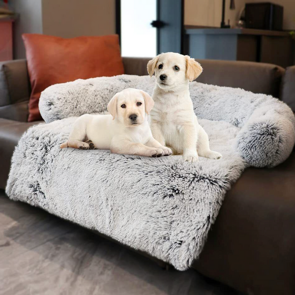My Pet Buddy Couch / Sofa Protector